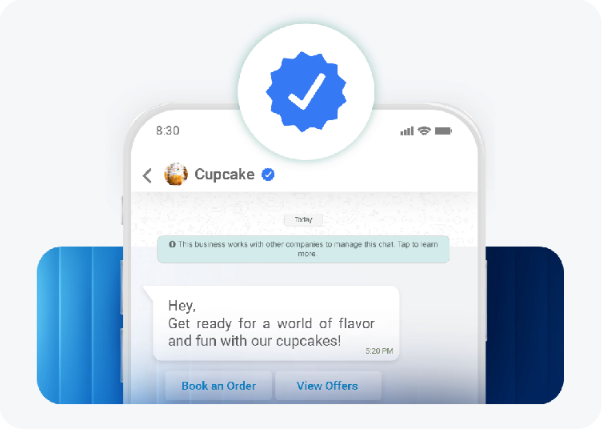 WhatsApp Blue Tick